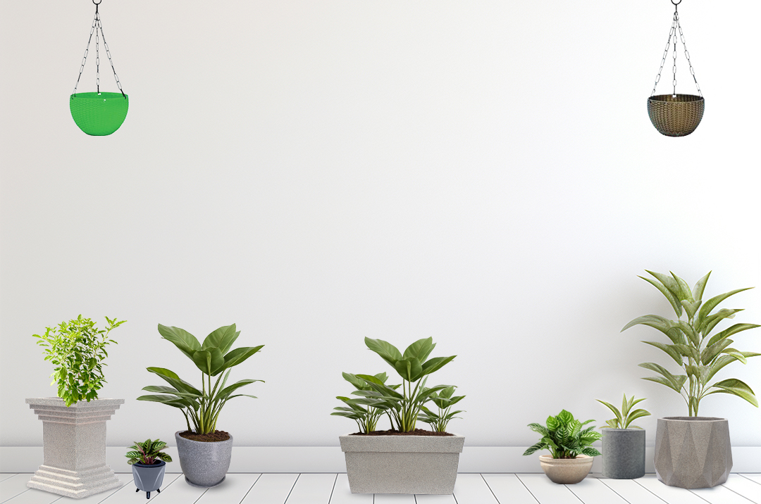 Image Slider