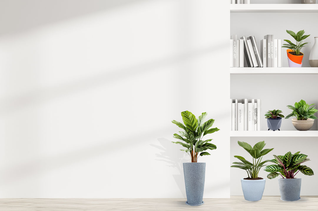 Image Slider