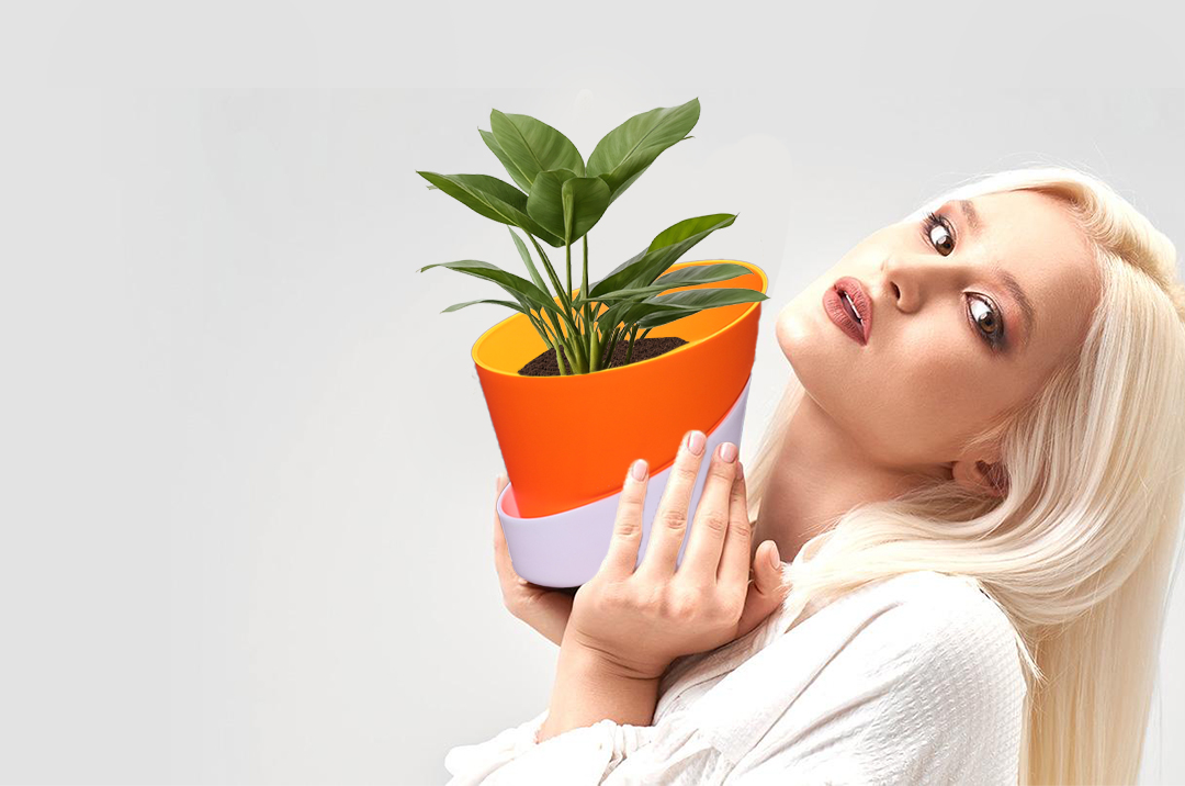 Image Slider